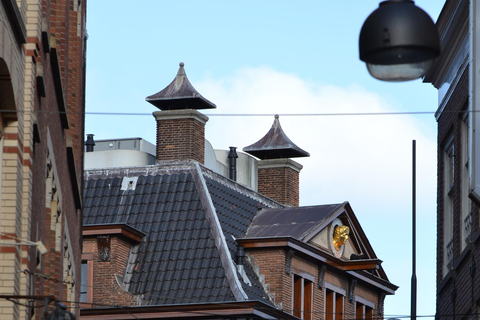 Guided tour of The Hague with a French tour guide