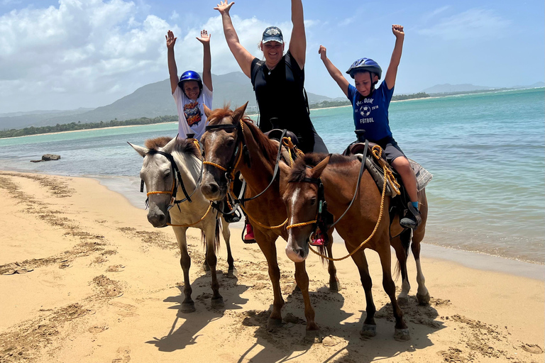 Puerto Plata: Beach Horseback Ride with Swim and Drinks Puerto Plata: Beach Horseback Ride with Swim and Drinks