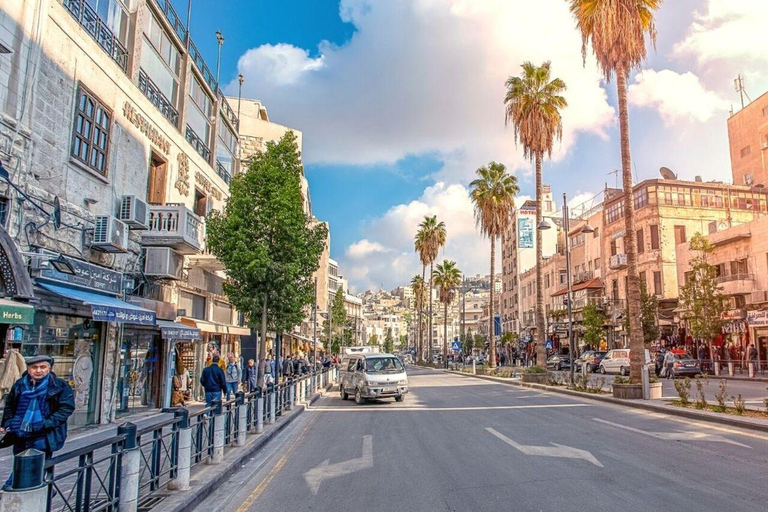 Visite de la ville d'Amman et de la mer MorteExcursion d'une journée à Amman et à la mer Morte