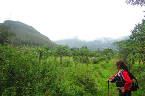 Pululahua Volcano Sightseeing Tour