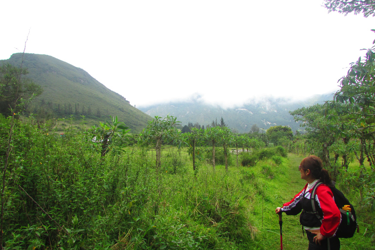 Pululahua Volcano Sightseeing Tour