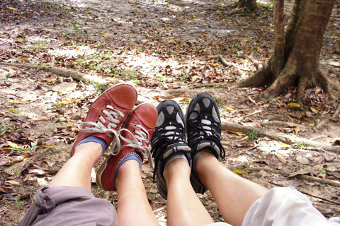 Pantano de Nariva: Experiencia de observación de monos