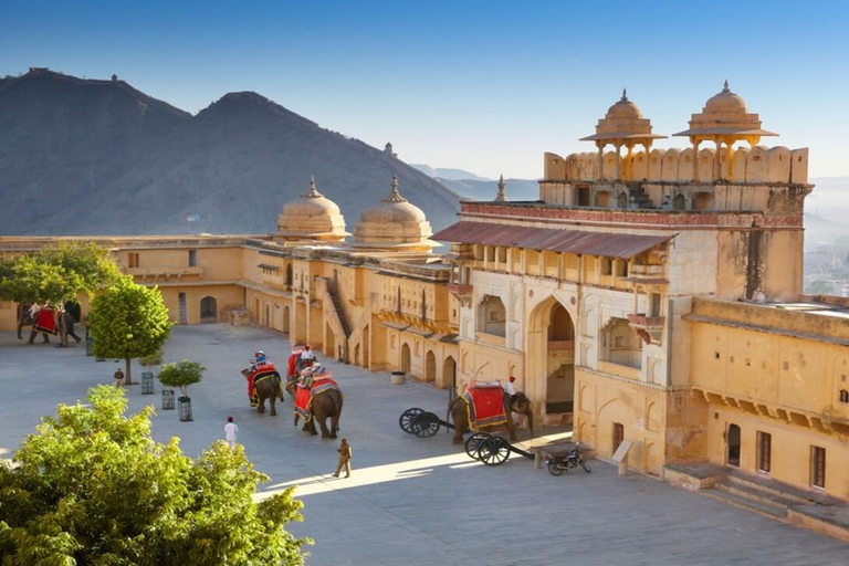 Jaipur: Dagsutflykt till stadspalatset, Amber Fort och Hawa MahalAgra: Dagsutflykt till stadspalatset, Amber Fort och Hawa Mahal