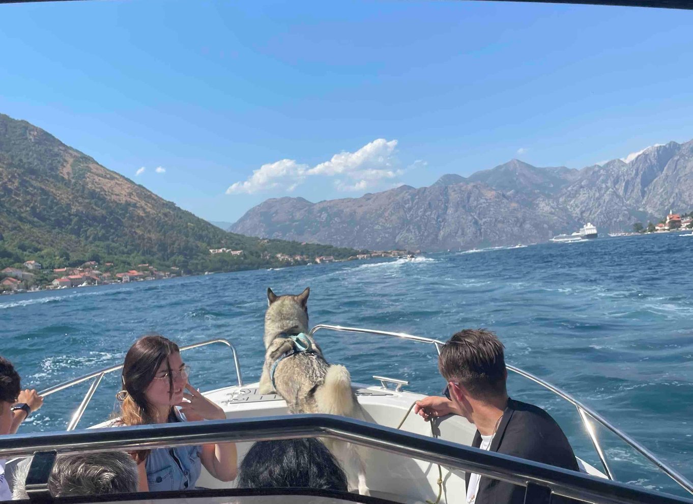 Fra Kotor: Bådtur til Perast og Lady of the Rock 1,5-2 timer