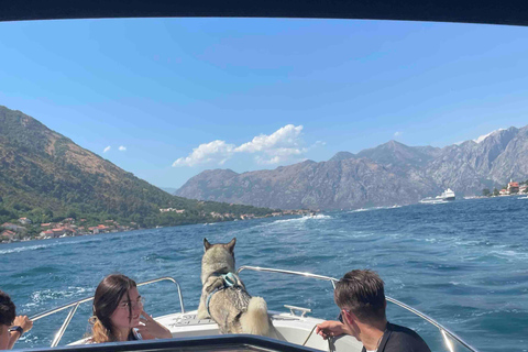 Kotor: Wine tasting & Lady of the Rocks speedboat getaway