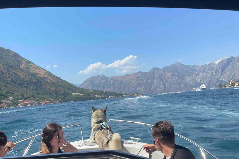 Kotor: Wine tasting & Lady of the Rocks speedboat getaway