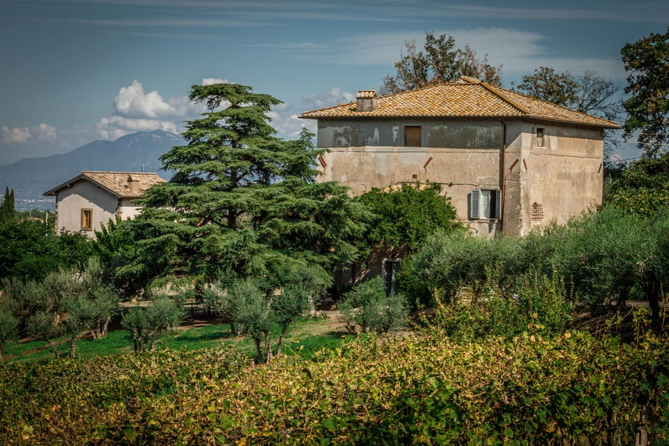 Frascati: Halbtagestour Wein Frascati: ...