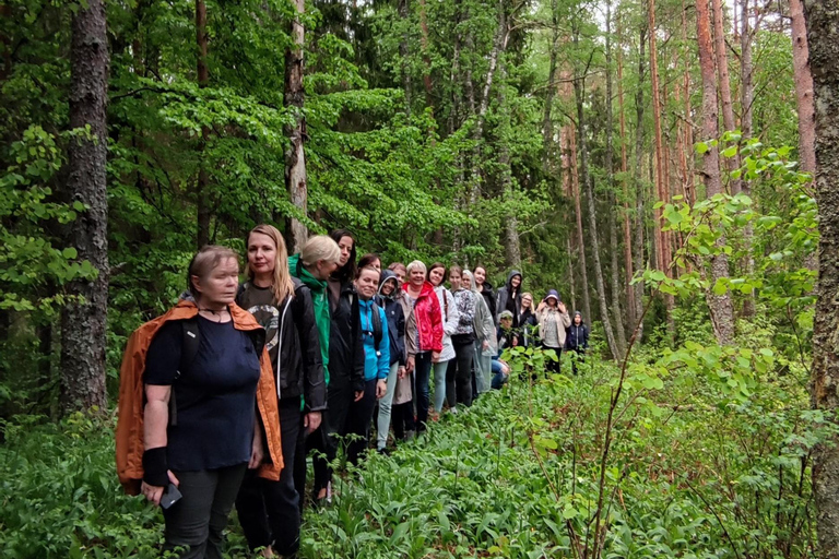 Kõrvemaa Nature Reserve Self-Guided Hike with Transfer