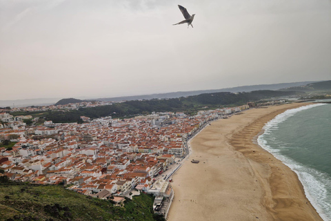 Porto to Lisbon with Aveiro-Coimbra-Fátima-Nazaré-Óbidos MINIBUS (9-19 PAX) WITH 3 STOPS