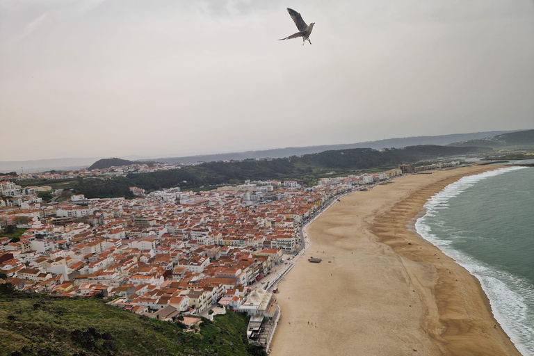 Porto to Lisbon with Aveiro-Coimbra-Fátima-Nazaré-Óbidos3 STOPS