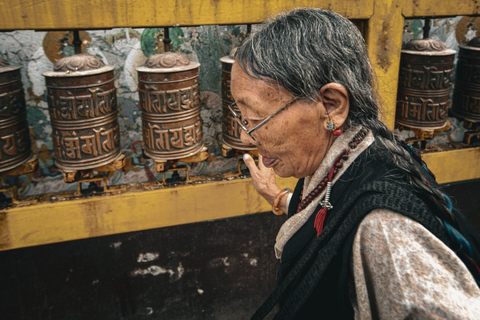 Kathmandu: 7 siti patrimonio dell&#039;umanità tour guidato di 1 giornoTour di 1 giorno in 7 siti dell&#039;UNESCO