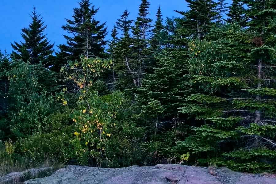 Acadia-Nationalpark: Cadillac Summit Sunrise Driving Tour. Foto: GetYourGuide Acadia-Nationalpark: Cadillac Summit Sunrise Driving Tour. Foto: GetYourGuide