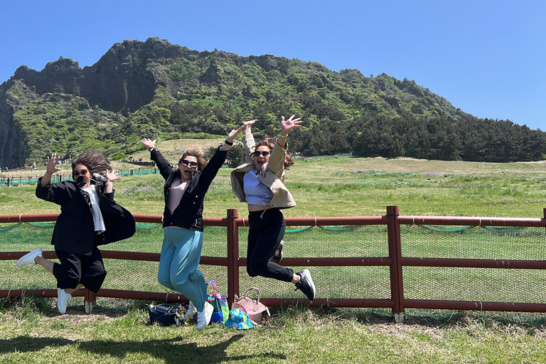 Jeju: Winter East Snow, Camellia, Tangerine Picking Tour