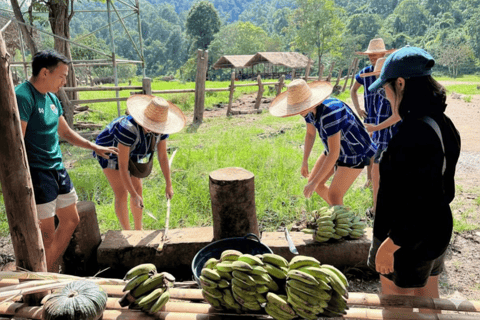 Chiang Mai: Pro Private Driver Service with Custom Itinerary