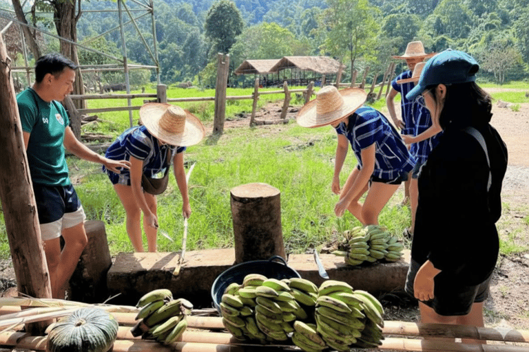 Chiang Mai: Pro Private Driver Service with Custom Itinerary