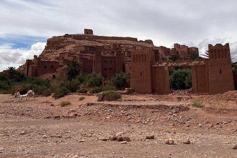 7 jours, 6 nuits - Circuit des villes impériales, de la ville bleue et du Sahara