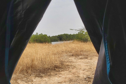 Saloum Delta: 3 days of adventure in the middle of nature, camping on a desert island Saloum Delta: Camping and Adventure
