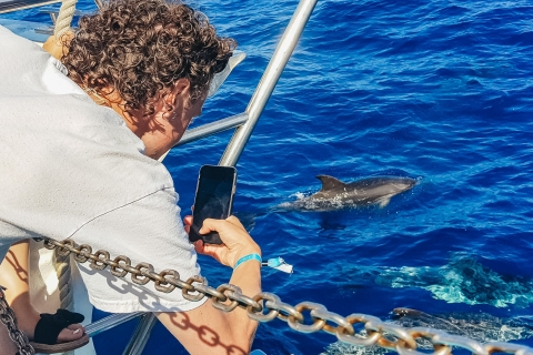 Gran Canaria: catamaran-dolfijnzoekcruise met snorkelenGran Canaria: dolfijnen en walvissen spotten en snorkelen