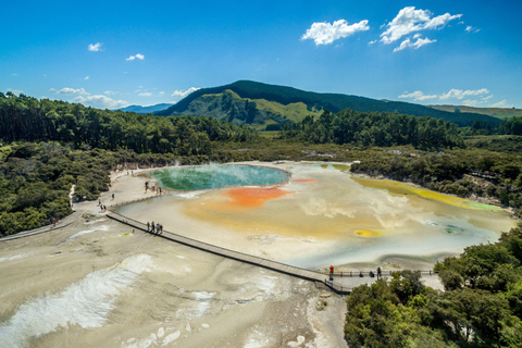 From Auckland: Rotorua Highlights Group TourRotorua Tour with Te Puia and Polynesian Spa Entry