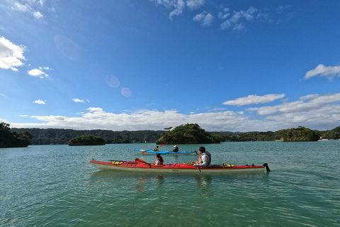 Okinawa: Private Kayak Mangrove or Reef with Native EnglishOkinawa: Private Kayak Tour with English-Speaking Guide