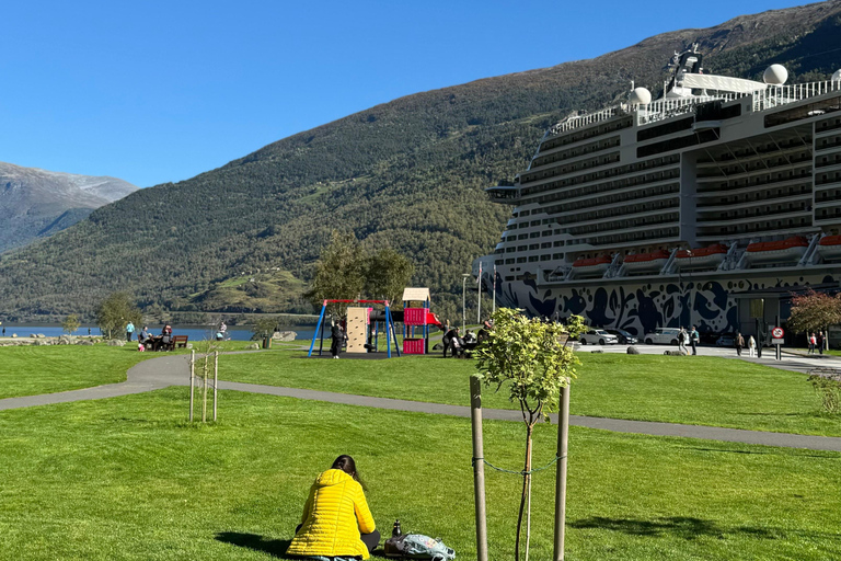 Tour particular de 2 dias com comboio de Flåm, Hardagerfjord e cruzeiro