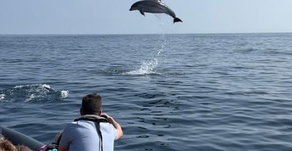 Faro: Atlantic Ocean Boat Tour to Watch Dolphins & Wildlife