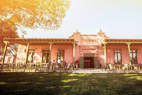 Ica: Tacama Pisco Route, Arrabal, Lovera Winery