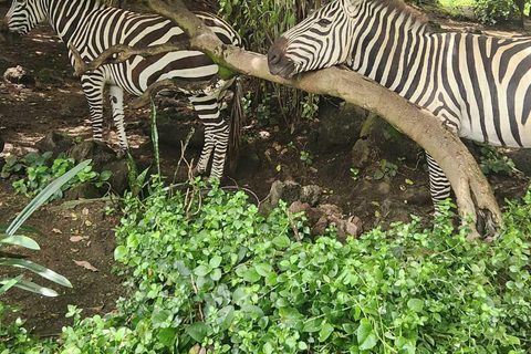 Nairobi: Lake Naivasha & Hell’s Gate National Park Day Trip