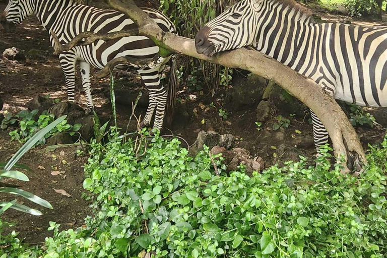 Nairobi: Lake Naivasha & Hell’s Gate National Park Day Trip