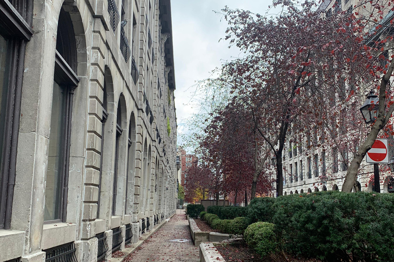 Montreal Old Port Walking Tour with Pastry Tasting x Scholar