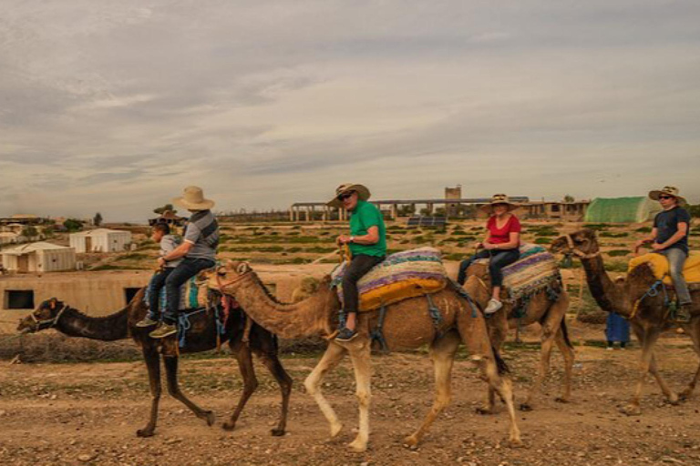 Marrakech: Agafay woestijn Quad &amp; kamelenritten met dinnershow