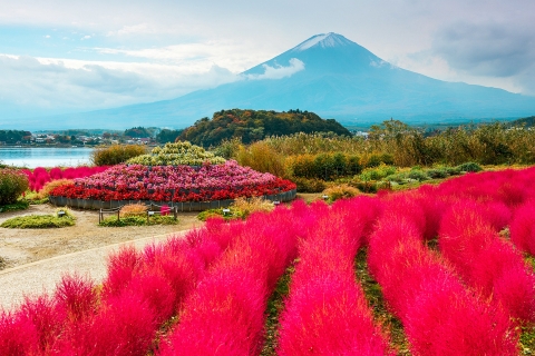 From Tokyo: Mt. Fuji Full-Day Sightseeing Trip Shared Tour