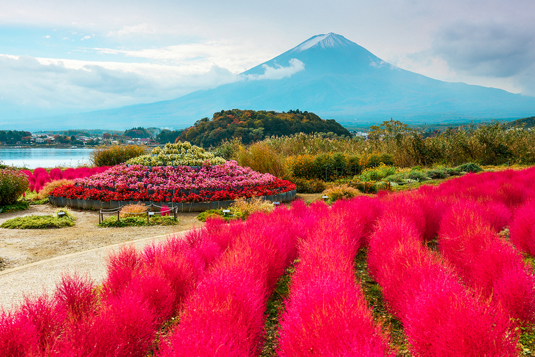 Från Tokyo: Fuji-berget heldags sightseeingflyktFrån Shinjuku Station