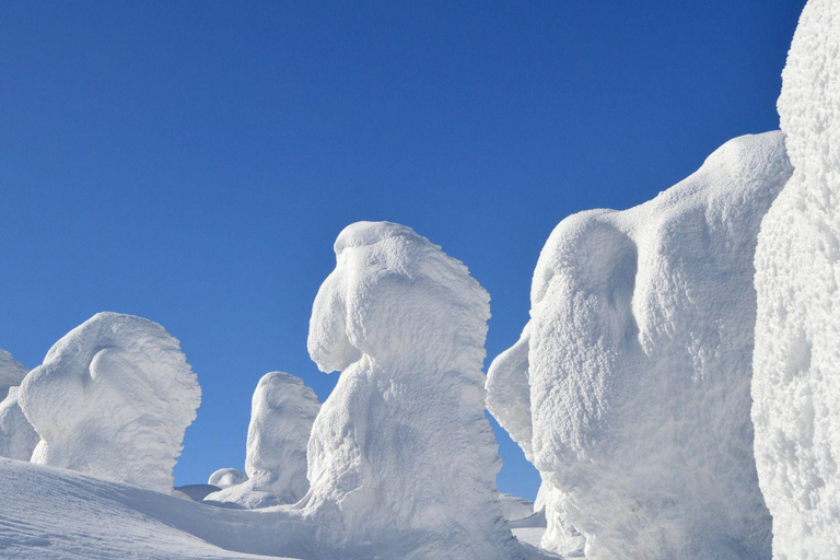 Ginzan Onsen &Zao Snow Monsters Winter 2-Day Tour From Tokyo Tokyo Station