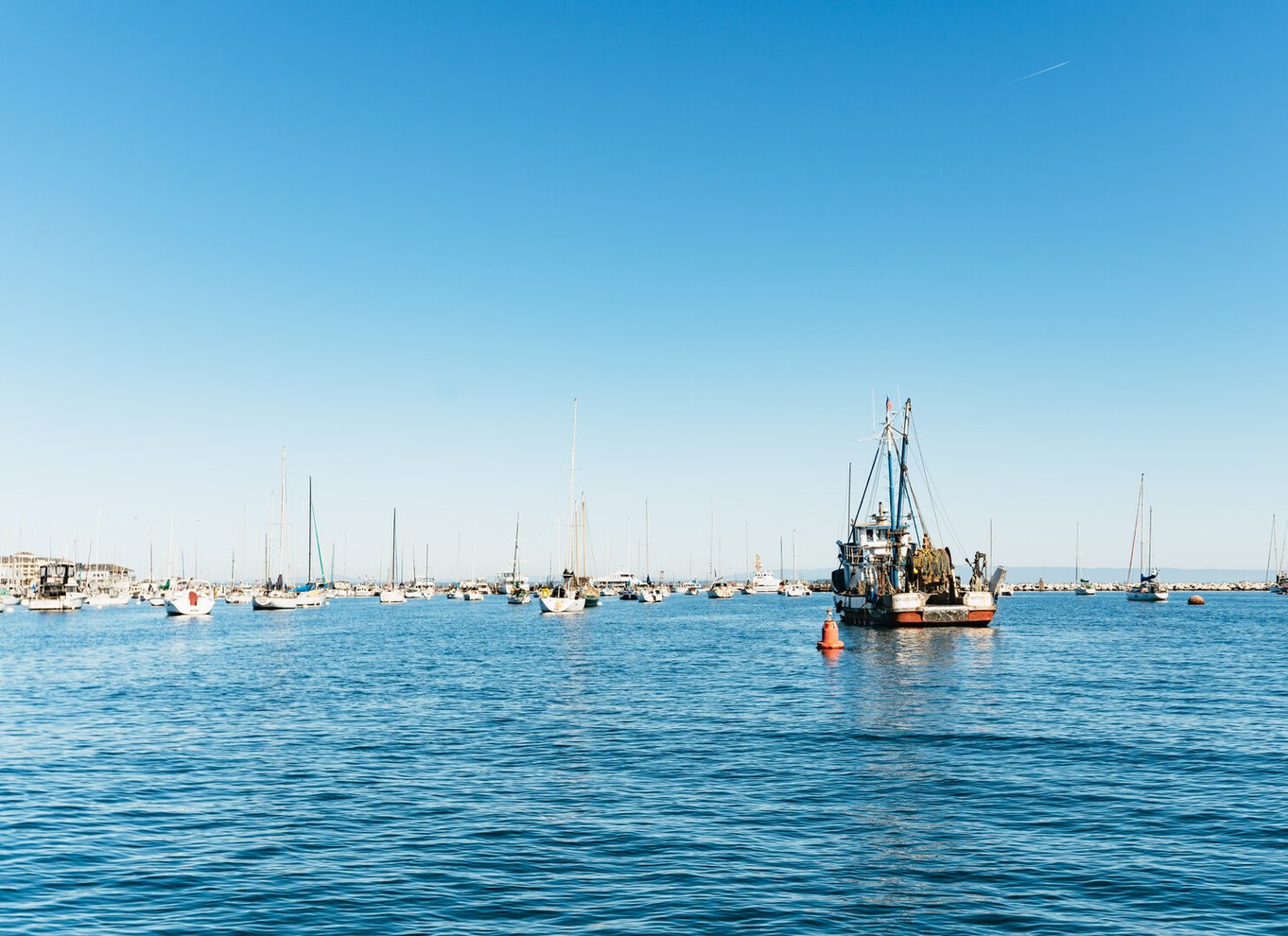 Monterey Bay: Tur med hvalsafari