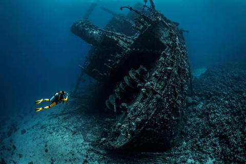 Hurghada: Dive Experience for Beginners or Certified Divers Full-Day Scuba Diving for Certified Divers
