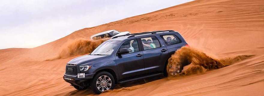 Dubaï : Safari dans le désert avec barbecue VIP et quad en option