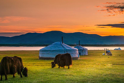 Semi-Gobi, Kharakorum overnight glamping private tour
