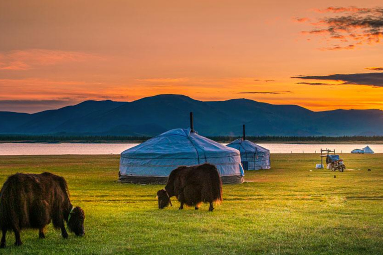 Semi-Gobi, Kharakorum overnight glamping private tour