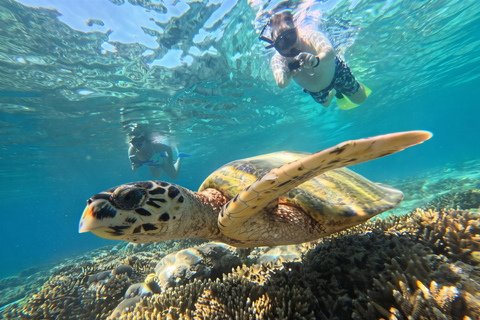 Shared 3 Gili Islands Snorkeling Tour with Turtles & Reefs