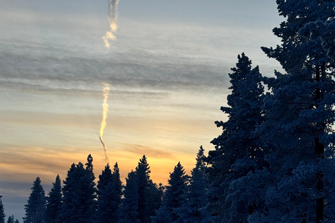 Arctic Gateway: Snowshoeing Expedition in Lapland