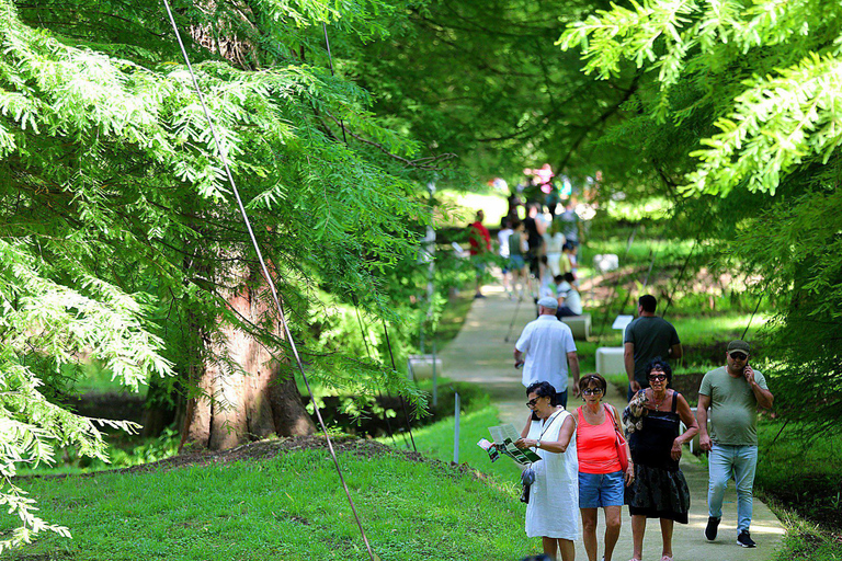 From Kutaisi: Batumi, Dendrological Park & Gonio Fortress