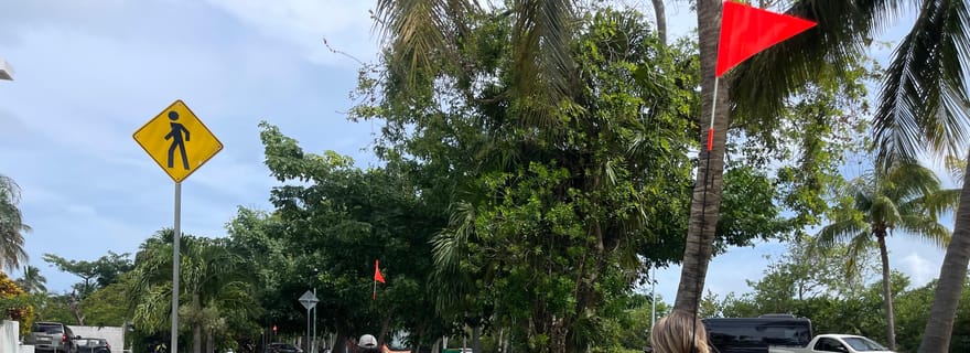 Cancun : Go Kart Adventure ! Visite guidée de 90 min dans la zone hôtelière