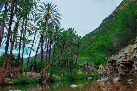 Agadir/Taghazout: Atlas Mountain Paradise Valley Berber Town