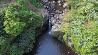 Sao Miguel，Caliroes峡谷体验 - Housity