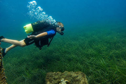 Boka Bay: Intro Scuba Dive or Shipwreck Exploration Intro Dive – Your First Step Into the Underwater World