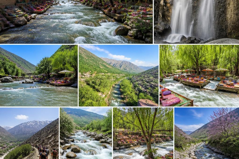 From Marrakech: Ourika Valley Atlas Mountains Day Trip with Lunch Option 3: Shared Group Transport and Local Guide