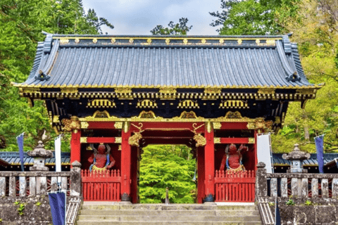 From Tokyo: Nikko Private Full-Day Heritage & Nature Tour