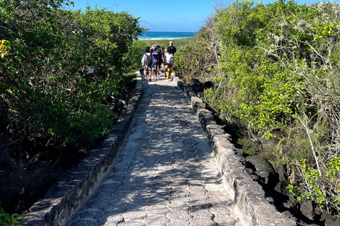 Galápagos: Sightseeing Tour to Tortuga Bay with Crystal-Clear Waters and Kayak