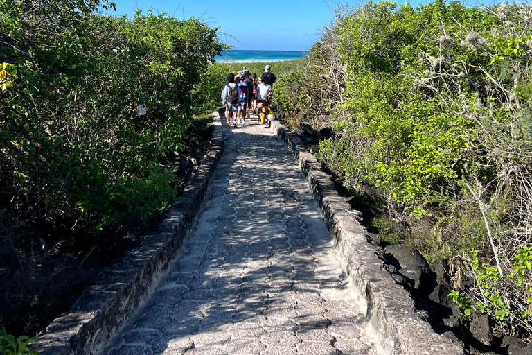Galápagos: Sightseeing Tour to Tortuga Bay with Crystal-Clear Waters and Kayak